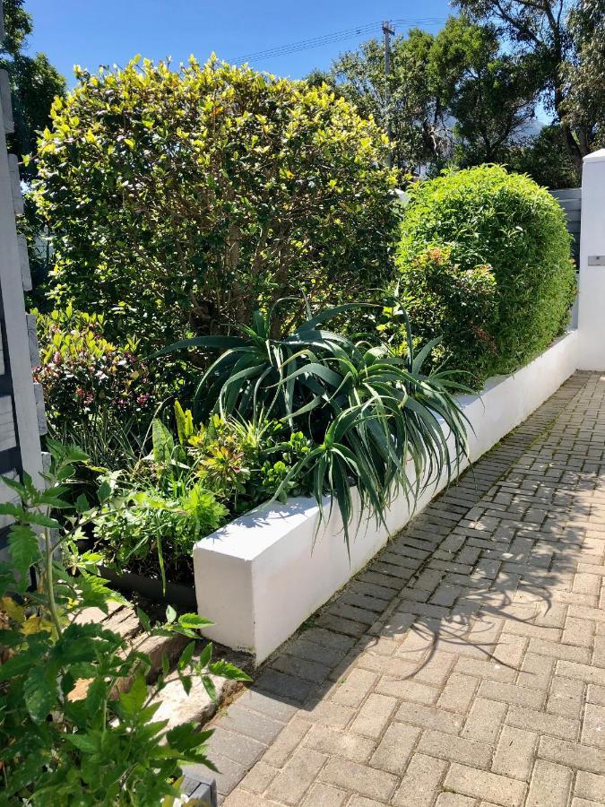 Studio On Albert, Hout Bay Exterior foto